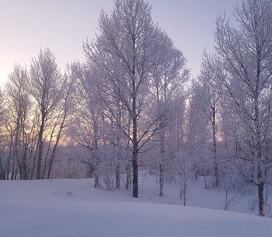 A multi-year project to convert an existing Elite Enterprise system to the new Elite 3E system.  This involved a leadership role, custom development, and updating existing software